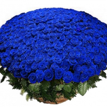 Корзина из 501 синей розы
